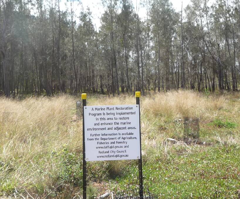Redland spends $4k replanting trees 
