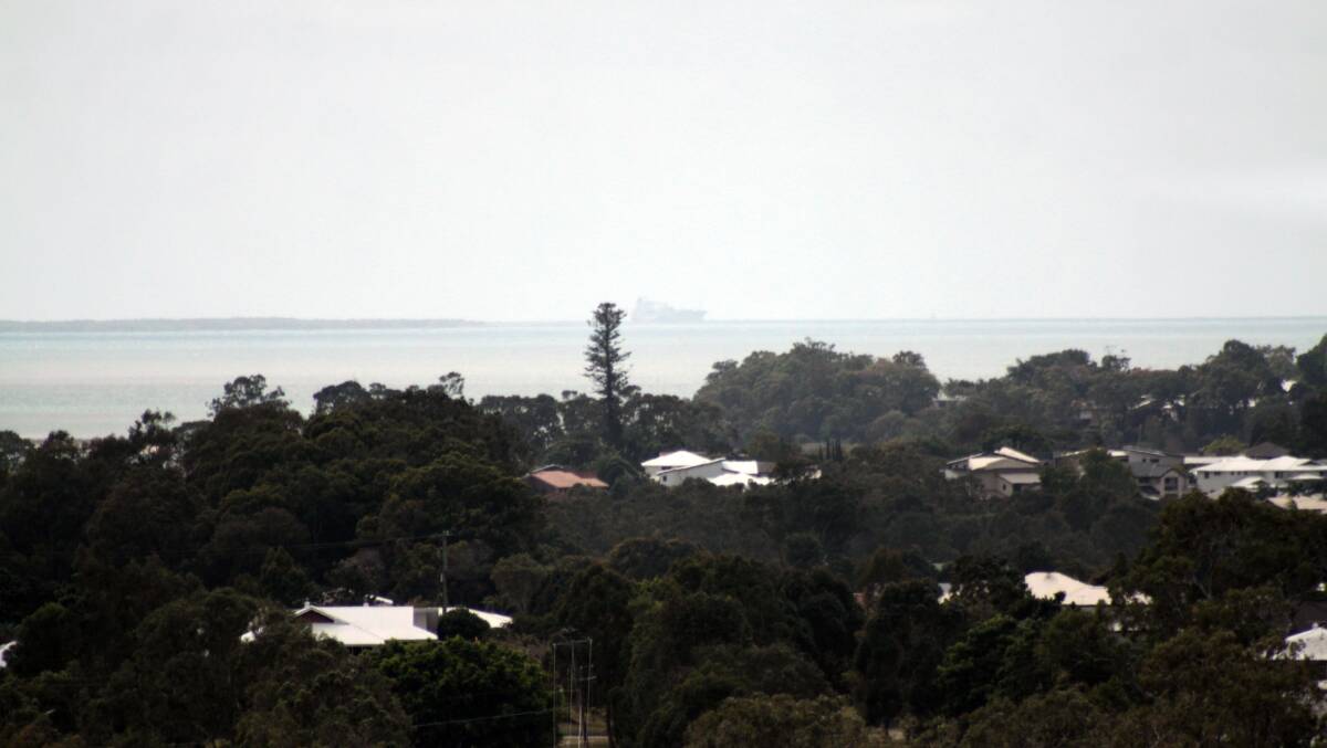 The Cook Island Pine as seen from the Birkdale tip