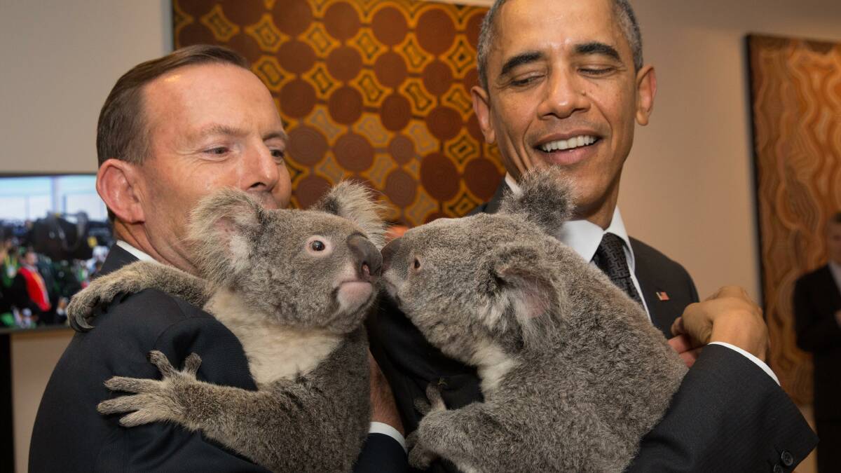 G20 sparks Redland Koala wars 