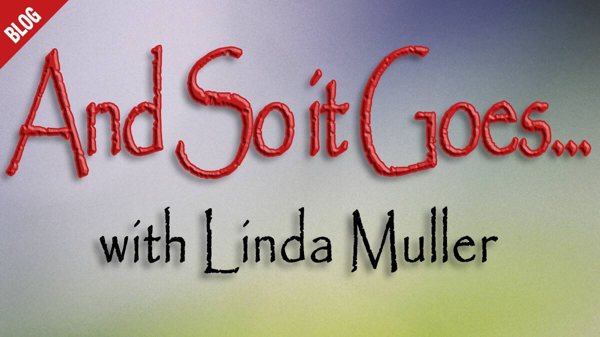 Follow Linda Muller's blog articles