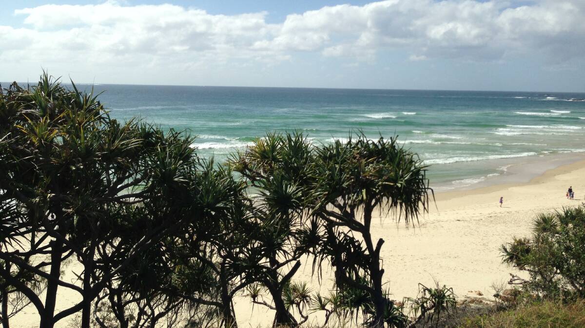 Plans are afoot to make Stradbroke Island a whale-watching mecca