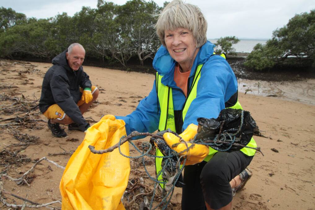 Koala Action Group convenor Sue Whitelaw and Brian Whitelaw clean up around Cleveland Point. \n Photo by Chris McCormack