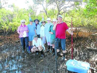 Wildlife Queensland Bayside branch volunteers tidy up mangroves in Redlands. 