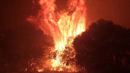 Bushfire burns on North Stradbroke Island Photo: Queensland Fire and Rescue Service