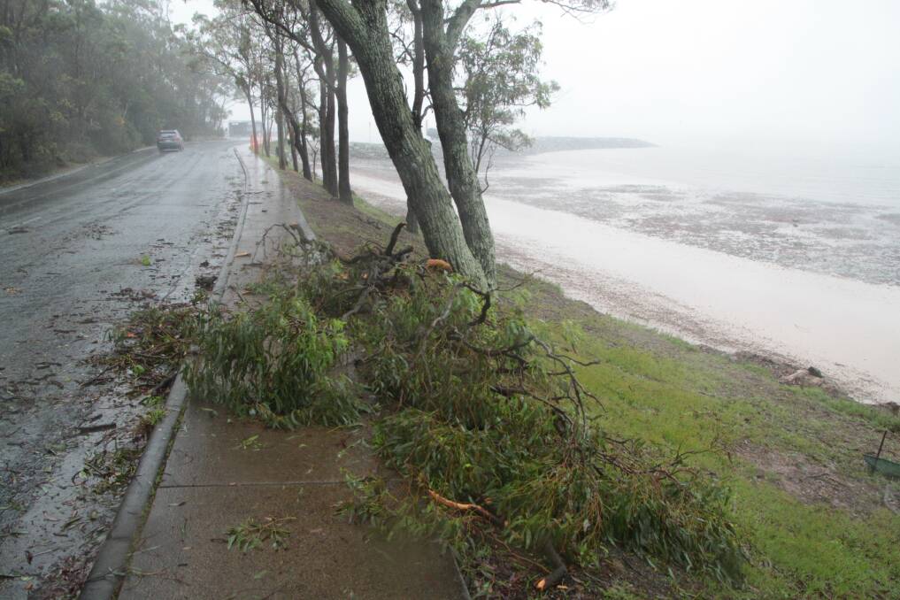 JANUARY: Storms on Australia Day in January buffeted Redlands. Photos: Chris McCormack