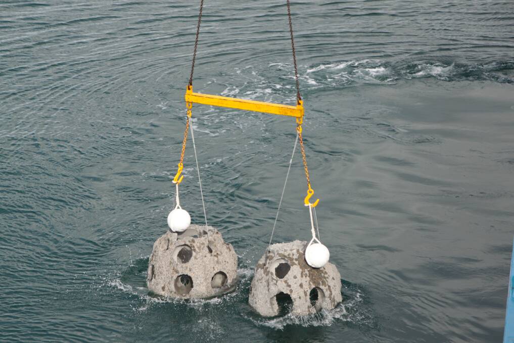 STEP 8: The balls are lowered into the water off Peel Island. Photo: Chris McCormack
