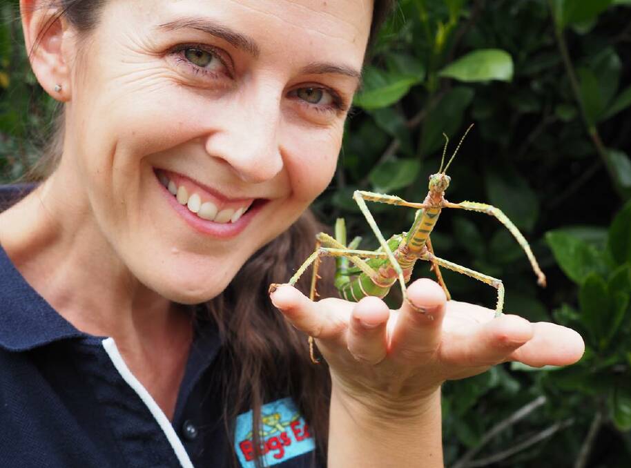 BUG OUT: Learn all about creepy crawly creatures at IndigiScapes with Entomologist Michelle Gleeson of Bugs Ed January 6.