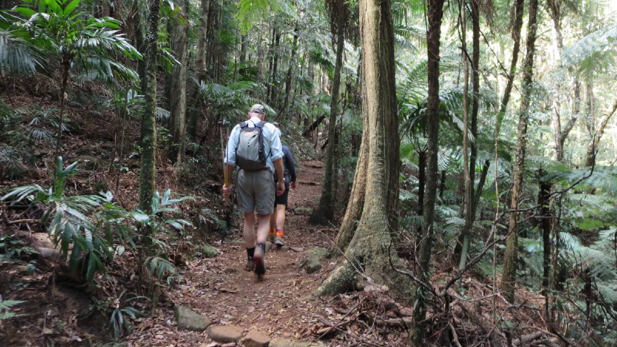 Redland Bushwalkers will hear from a guest speaker on snake bites at their next meeting.