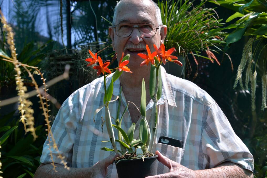 GREEN THUMB: The Redlands orchid Society hosts its annual Autumn show in Birkdale this week.