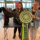 Monique Finch (left) had two of four dogs she styles in the best in show lineup at the Pup Cup Dog Grooming Competition in Coffs Harbour. Picture supplied.