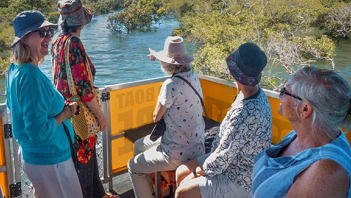 Boat trips explore Coochiemudlo's seaward mangroves at the Coochiemudlo Island Mangrove Festival. Picture supplied.