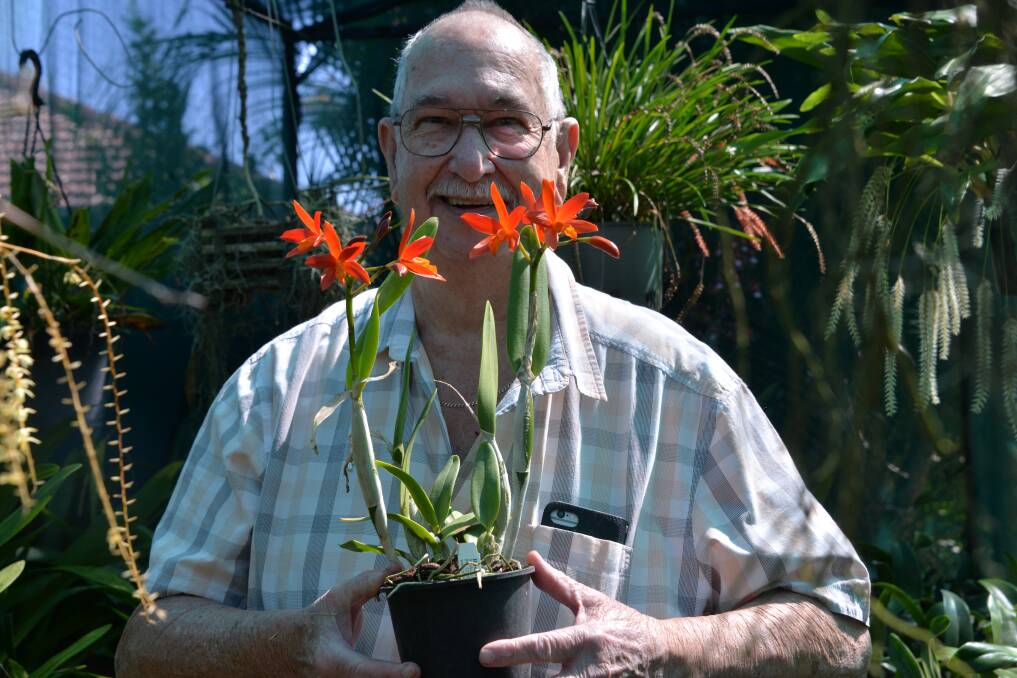 GREEN THUMB: Redland Orchid Society Committee member Tom Edmonds has been a part of the group for the last 18 years and loves growing orchids in his backyard.