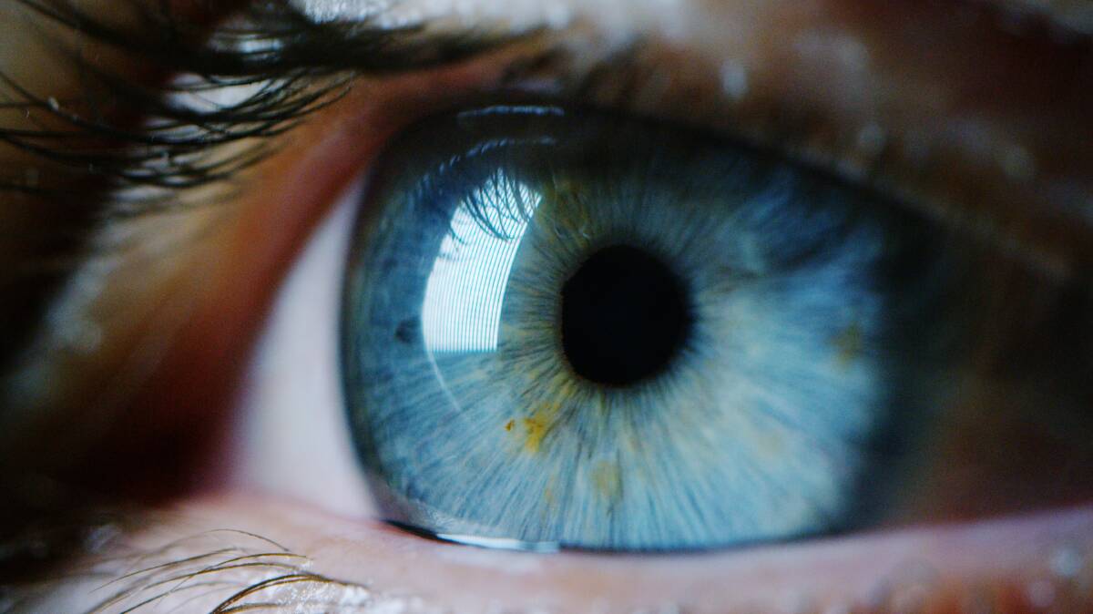 Clear vision: An eye has more than two million working parts including over one million nerve fibres.