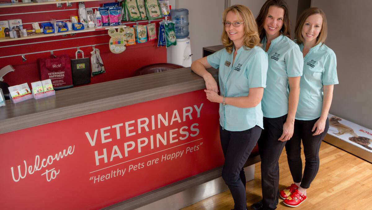 Veterinary Happiness celebrates twenty years of caring for