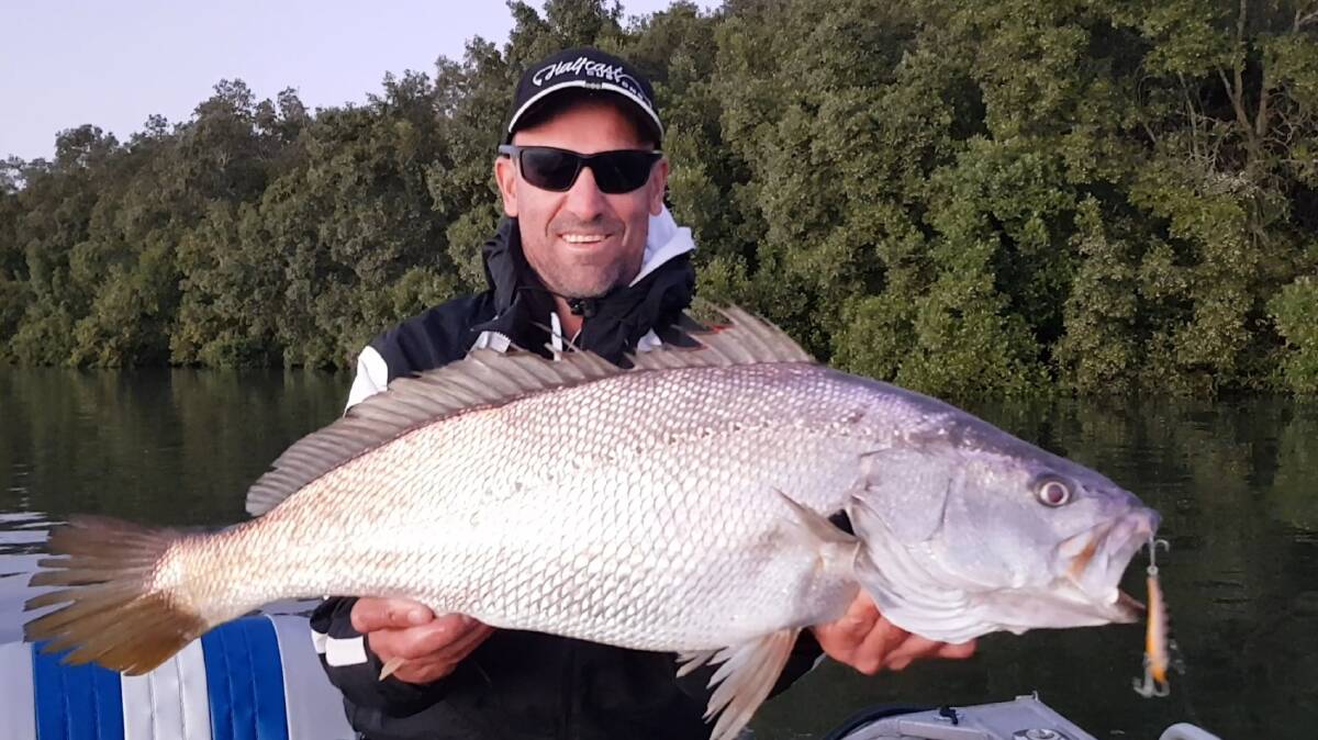 BEAUTY: Randy Keeble with a lure caught mulloway from the Brisbane River