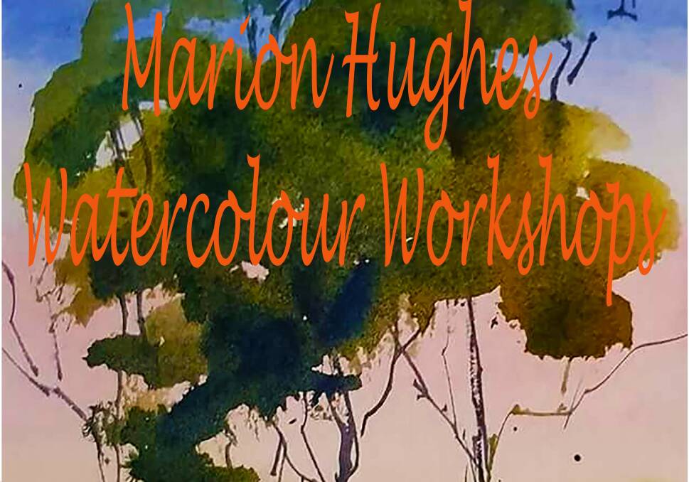 EXPERTISE: Talented watercolourist Marion Hughes will host workshops at RICarts in October. Marion has a passion for landscape and wildlife.