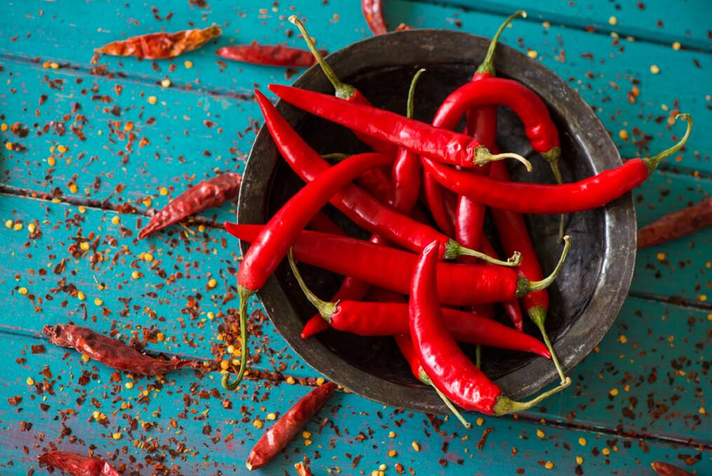 Hot results: The versatile chilli can be used to help deter cats and dogs from your garden, included in a natural insecticide and help to alleviate the misery of the cold and flu season.