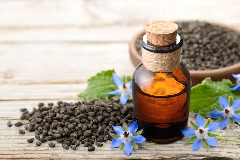 SPIRIT OF COURAGE: Borage has a reputation for lifting the spirits, but it also is great for your hair and nails and relieving stress.