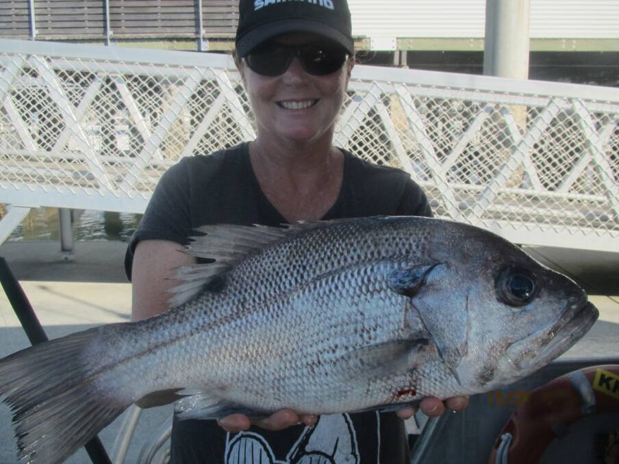 WHAT A PEARLER: Katrina Mothershaw with a solid pearl perch caught east of Moreton Island onboard Frenzy Charters.