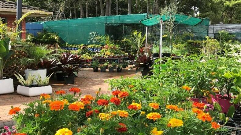 FLOWERS GALORE: Find Capalaba Nursery and Landscape Supplies at 308 Mt Cotton Road, Capalaba. 