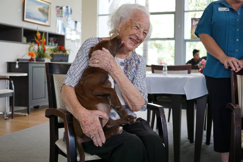 Hilda Hoffman takes to one of the rescue puppies from the RSPCA shelter in Queensland at Wacol. 