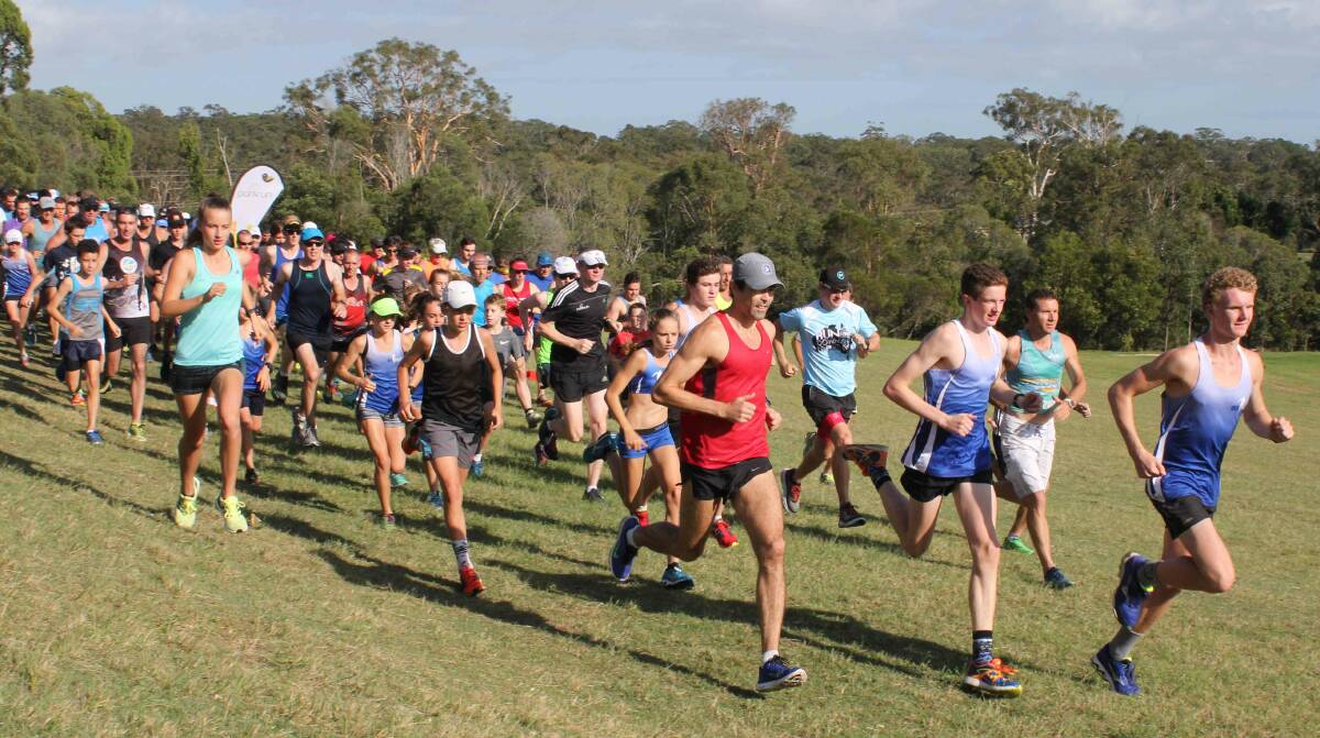 And they’re off … runners in Saturday's Sirromet parkrun. PHOTOS and STORY: John Warlters