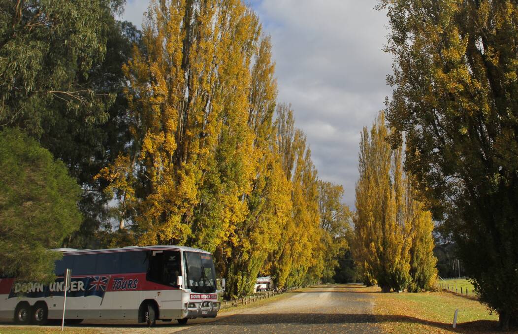 All aboard: Down Under Coach Tours will head out for three tours this Autumn. These will be great adventures for the seasonal traveler. Ph 1800 072 535 or 4123 1733 or email: info@downundercoachtours.com.au.