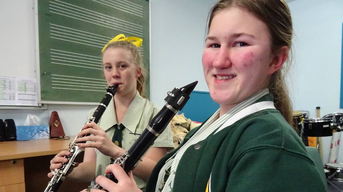 NOTED: Alexandra Hills State High School students Natasha Delphin and Janice Ross have been selected for a State Honours Ensemble Program at the Griffith University Conservatorium of Music. 