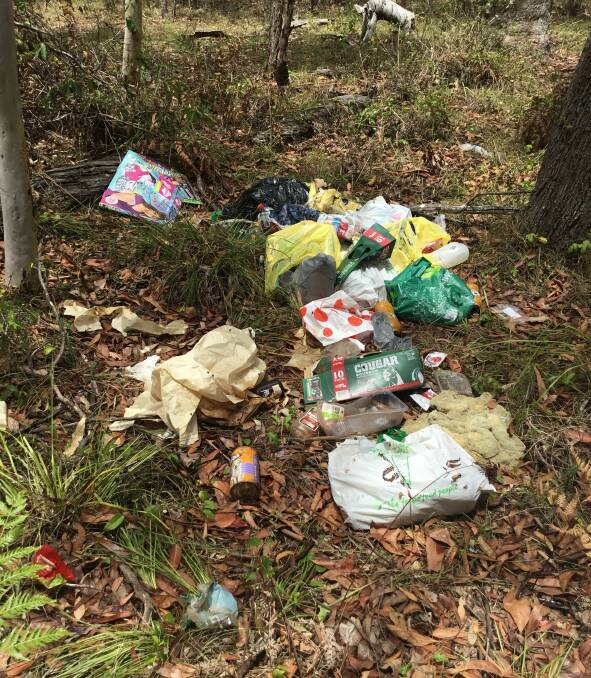 DUMP: Litter at Capalaba. Photo: Keep Queensland Beautiful