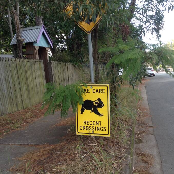 KOALA WARNING: A koala crossing sign near the development site. Ms Pointing said koalas had been known to traverse the area. Photo: Nola Sprake