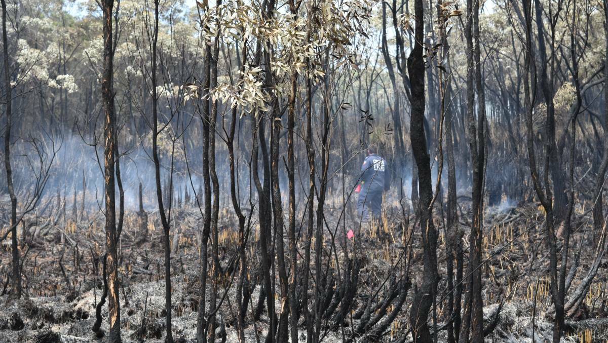 DESTROYED: Hectares of land was burned on Russell Island during a 2016 blaze.
