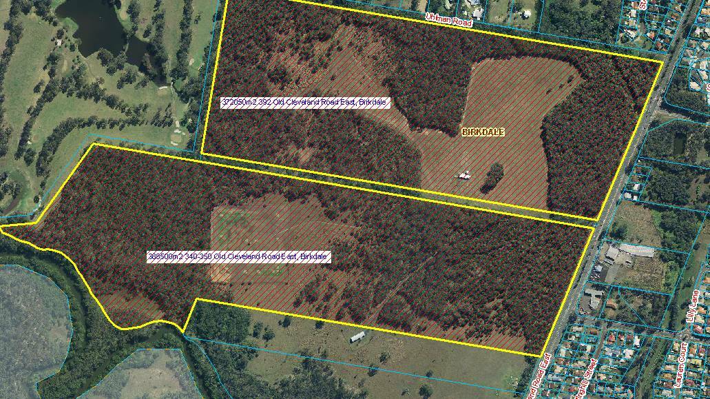 KOALA HABITAT: Council is angling to buy 80 hectares of land in Birkdale. 