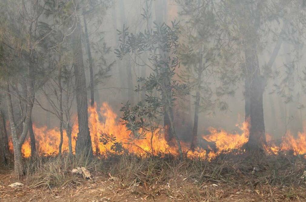 BACKBURNING: A mainland rural fire brigade for the Redlands could help residents understand how to measure and mitigate their fuel load, says Cr Julie Talty.