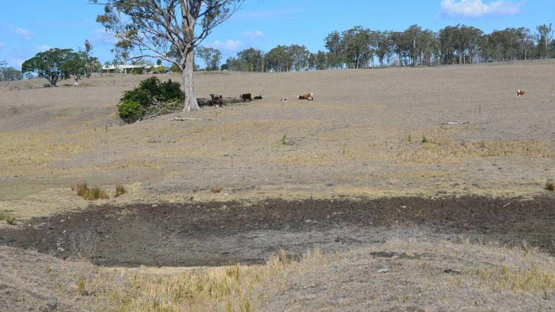 DROUGHT: A dry dam and no feed in a drought declared region near Beaudesert, south-east Queensland.