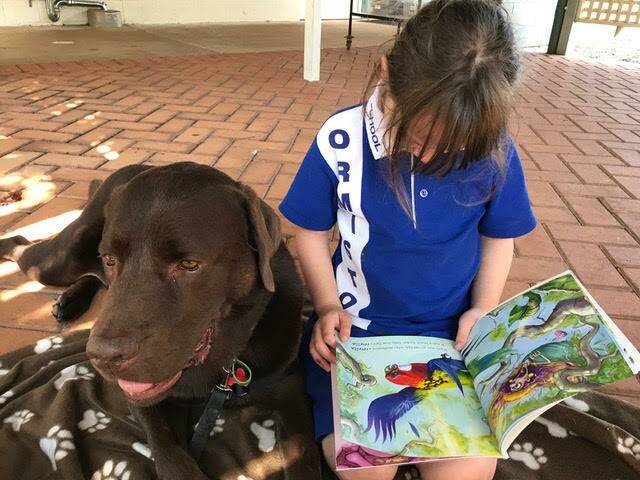 STORY DOGS: Buddy helps a young student to read.