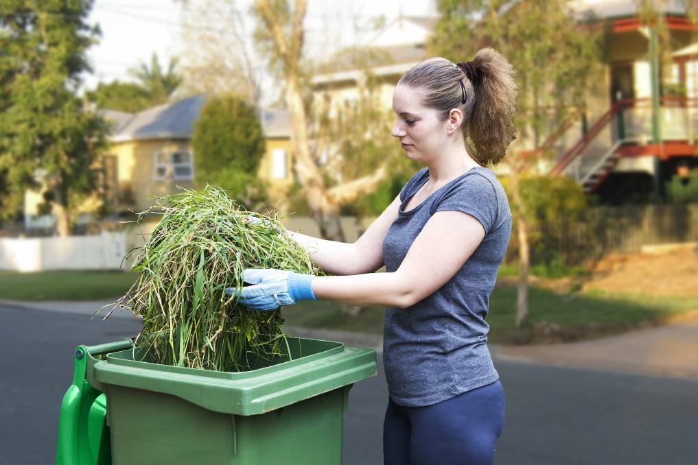 NO FEE: Mainland residents can get a green waste bin without paying a $30 establishment fee. Photo: Redland City Council