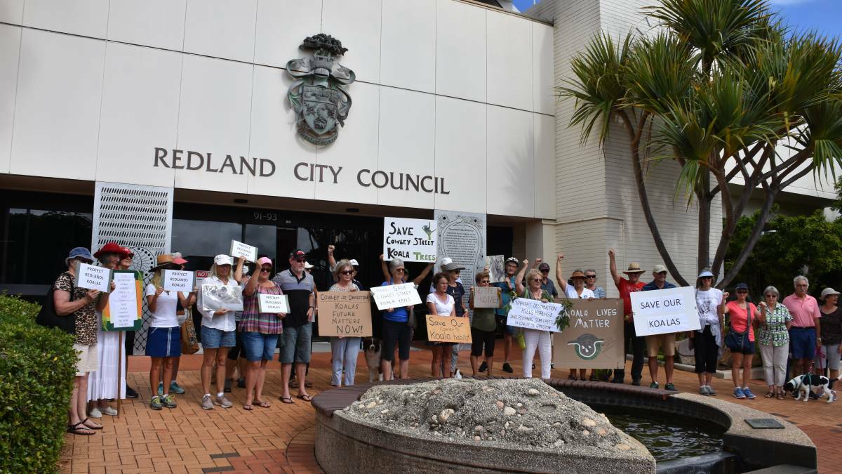 PASSIONATE ABOUT KOALAS: Residents protest for better protections for koalas after trees were cut down on Cowley Street.