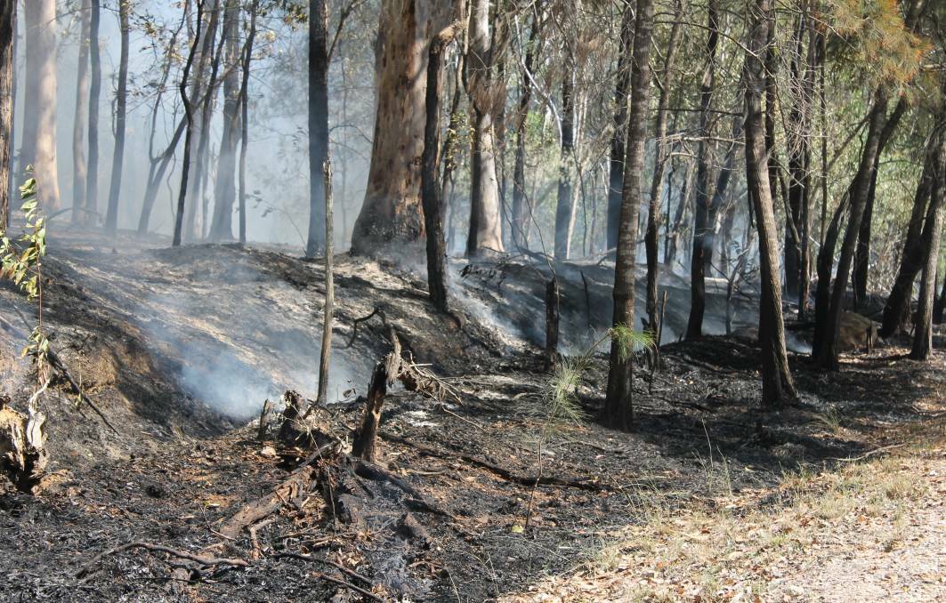 Redlands at greater fire risk: Laming