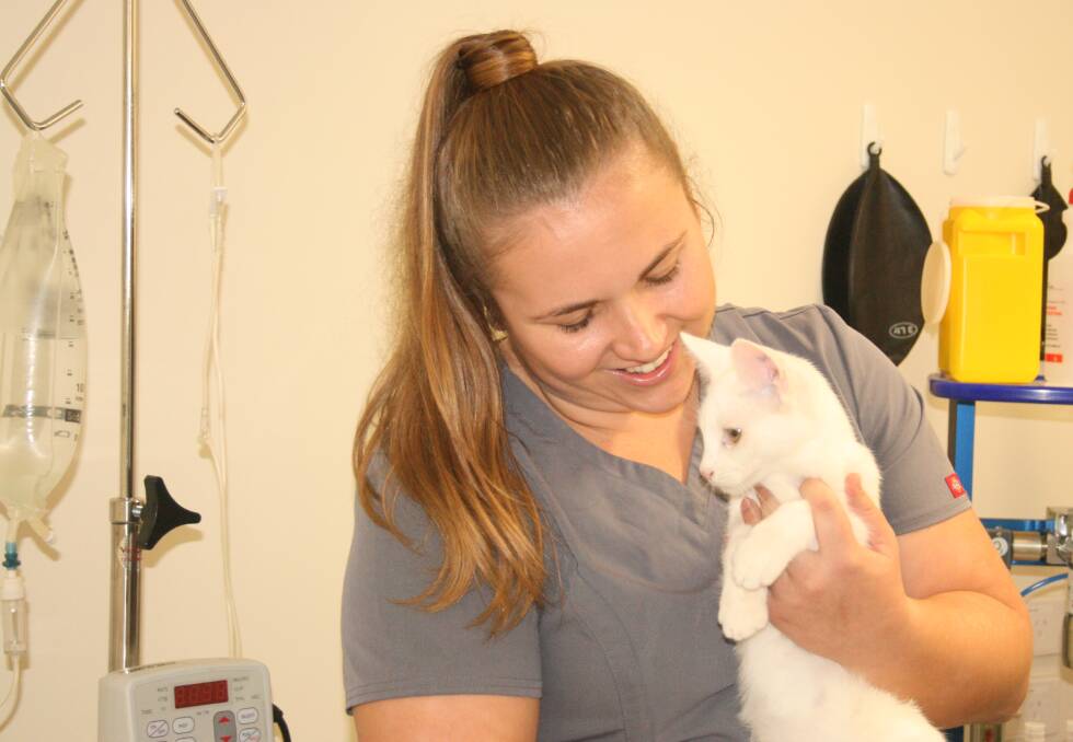 VET: Gemma Holland, a vet at Redlands Animal Shelter, takes care of a little patient.
