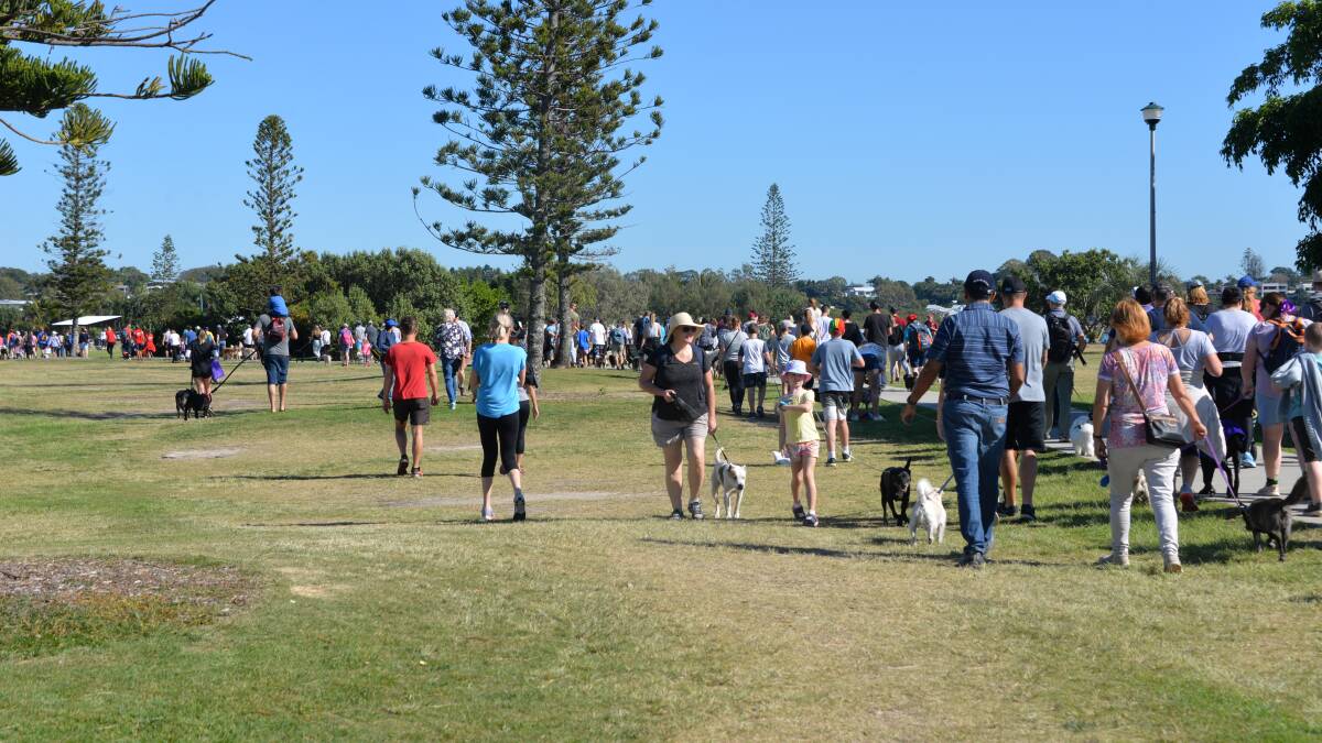 GOOD DOGGIES: Well behaved pooches on-leash during an RSPCA-organised dog walk at Raby Bay.
