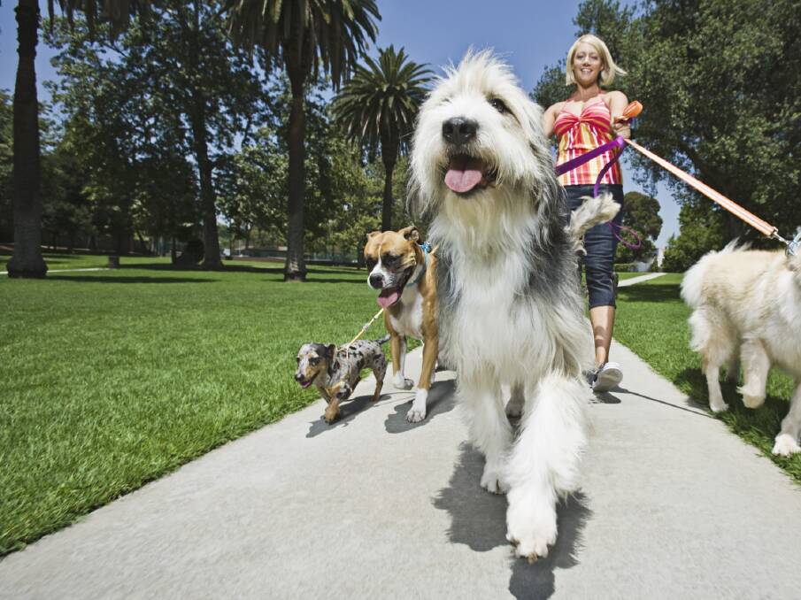 Council is right to limit dog ownership