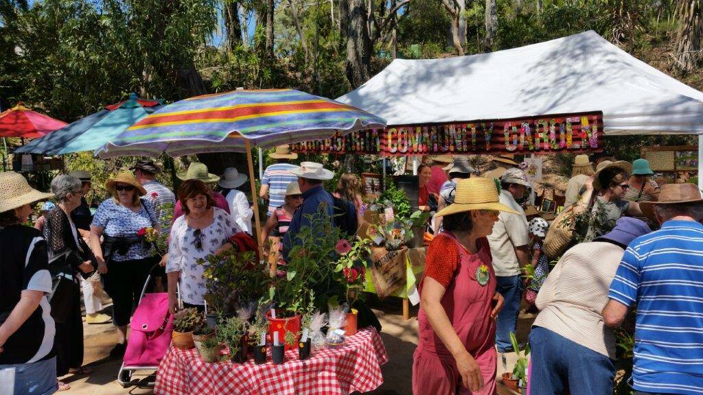 FESTIVAL: A big crowd checks out the community garden stall last year.
