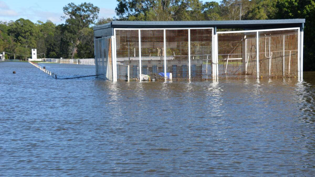 INUNDATED: The Capalaba Greyhound Race Club swamped by the remnants of Cyclone Debbie in March.