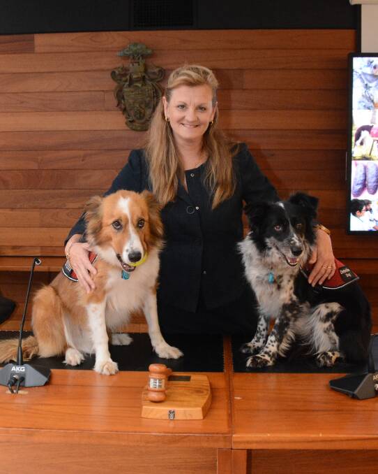 NAUGHTY PUPPIES: Baxter and Maya find mayor Karen Williams and the council chambers much to their liking.