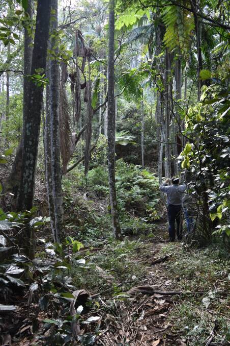 Walkers fear conservation land is being lost