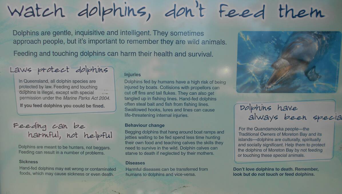 IGNORED: Signage on North Stradbroke Island which is ignored by tourists. At least one write-up for an Amity accommodation business urges people to take part inthe illegal activity.