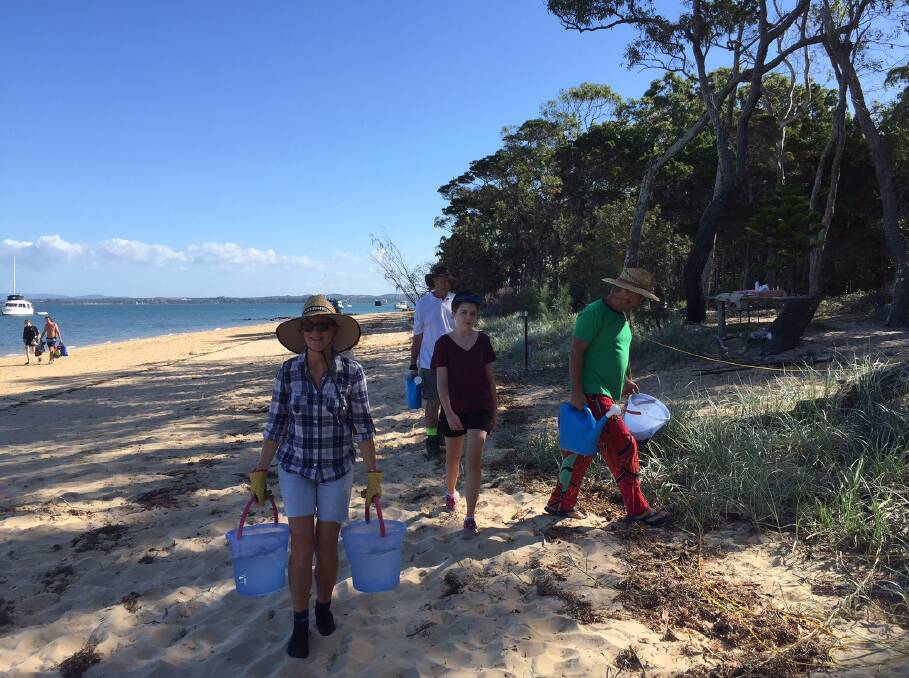 WEED WARRIORS: Coochiemudlo Islanders fan out as they tackle foreshore weeds.