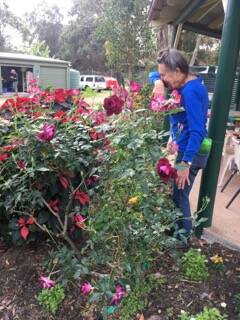FINE SPRING SHOW: Michele from Cleveland is weeding the flower beds.