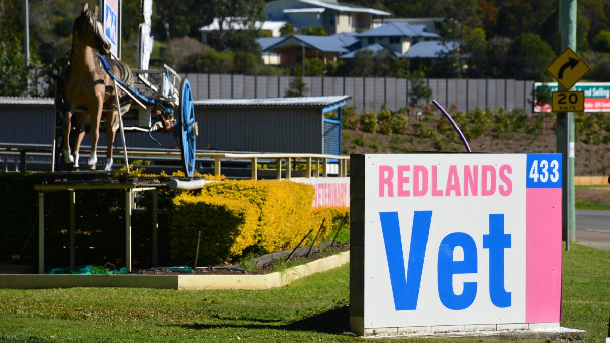 Vet challenges horse owners on Hendra vaccine