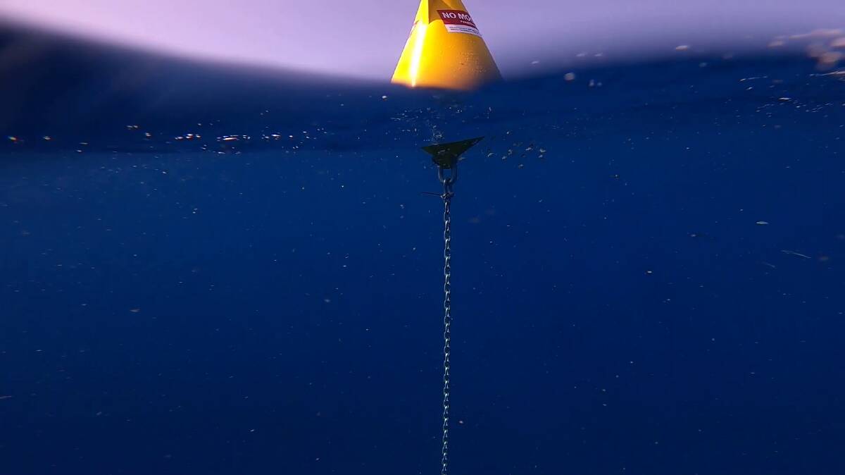 FISHING AID: An underwater view of the fish attracting device.